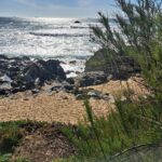 PraiaLuz PraiaLuz